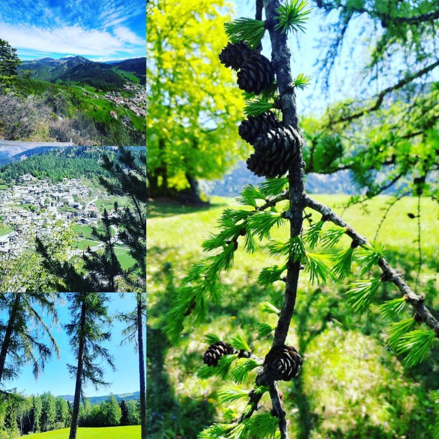 Hotel Trudnerhof Im Naturpark Trudnerhorn Trodena Dış mekan fotoğraf