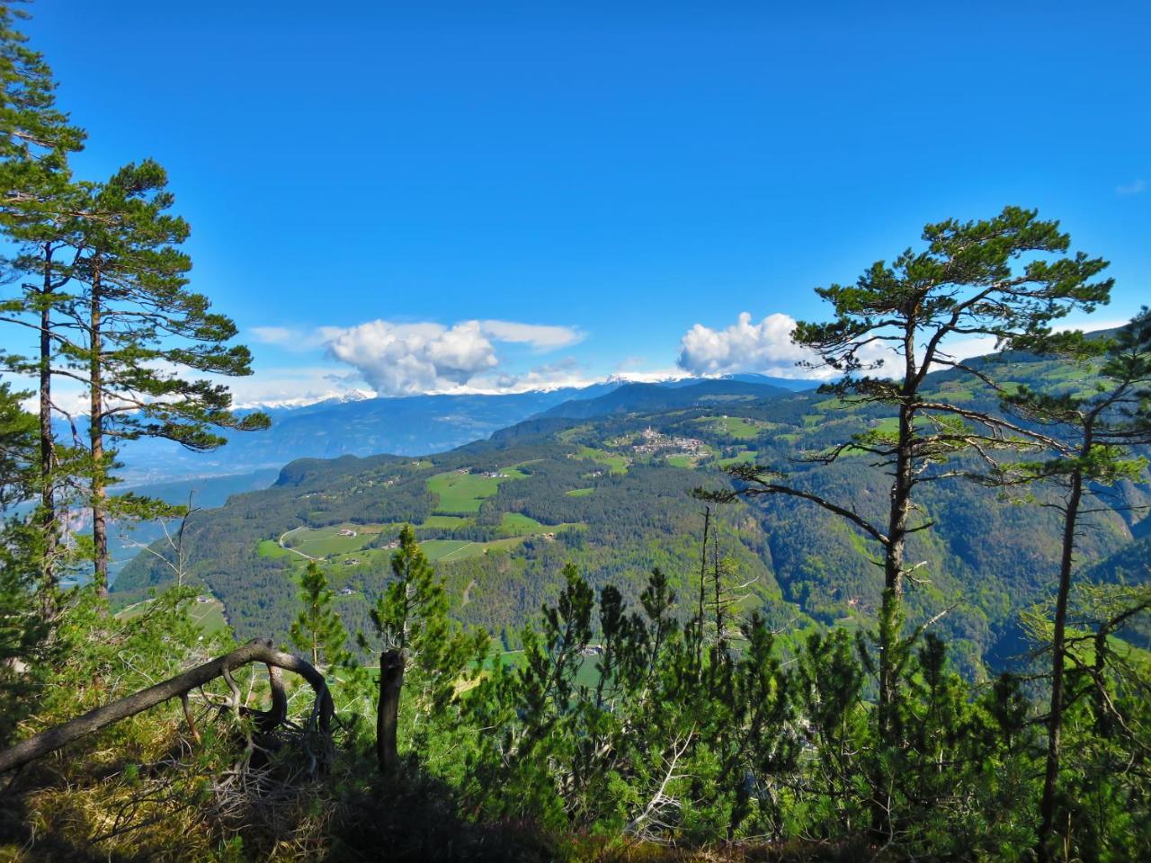 Hotel Trudnerhof Im Naturpark Trudnerhorn Trodena Dış mekan fotoğraf